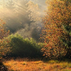 Natasha Subbotskaya, 22.12, Москва