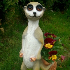 Андрей Тарабанько, 17.10, Санкт-Петербург