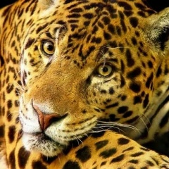 Дмитрий Жохов, 28.07.1983, Мурманск