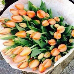 Бота Сембинова, 19.09.2006, Алматы