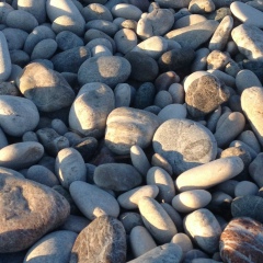 Елена Мозалева, 09.08, Санкт-Петербург