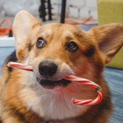 Наталья Захарьяш, 13.05, Краснодар