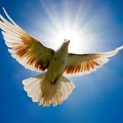 Анаит Григорян, 01.01.1961, Санкт-Петербург