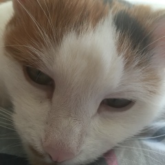 Денис Савченко, 05.03.1984, Москва