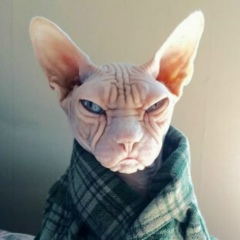 Евгения Булгакова, 26.11.1989