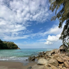 Мари Индиго