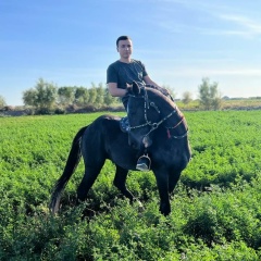 Руслан Одамов, 26.11, Ургенч