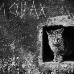 Иван Кальной, 26.07.1984, Барнаул