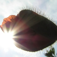 Валерий Рубинштейн, 15.12, Хабаровск