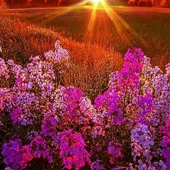 Анна Анна, 09.10.1984, Ростов-на-Дону