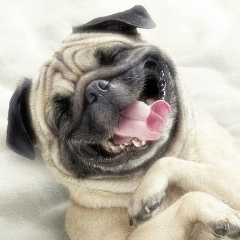 Павел Суворов, 20.11.1987