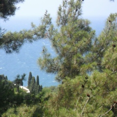 Виктория Иванова, Днепр (Днепропетровск)