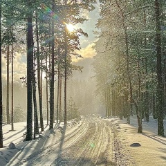 Юлия Каялайнен, Санкт-Петербург