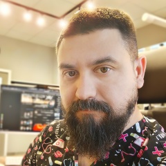 Сергей Цыганок, Воронеж