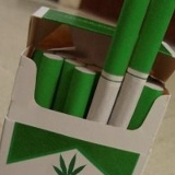 Александр Новиков, 13.05, Киев