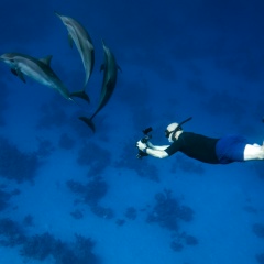 Sinan GÜLER, 28.11, İzmir