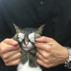 Александр Буркан, 05.06, Екатеринбург