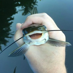 Паша Суханов, 23.11, Черкассы