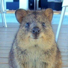 Яна Андроник, 03.05, Санкт-Петербург