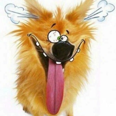 Анюта Окулова, 11.03, Одесса