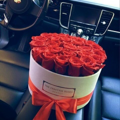 Шахрияр Бахрамоглу, 15.10.1994