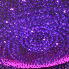 Алек Блейк, 14.08, Москва