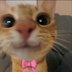 Екатерина Подсветова, 07.07.1993, Москва