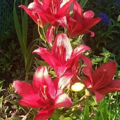 Юлия Брюнина, 09.12.1982, Серпухов