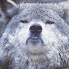 Владимир Балтаков, 19.04, Красноярск