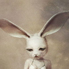 Амина Магомедова, Махачкала