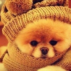 Николай Петров, 29.01, Санкт-Петербург