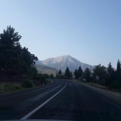 Izmail Izmailov, 10.10, Санкт-Петербург