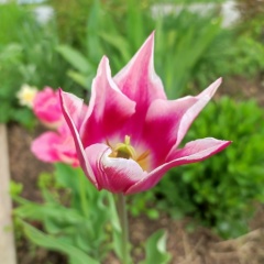 Марина Марина, 08.10.1982, Самара