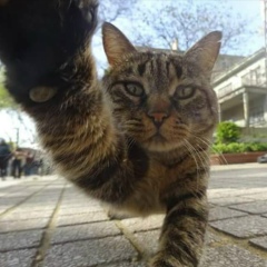 Ксения Муромова, 30.01, Санкт-Петербург