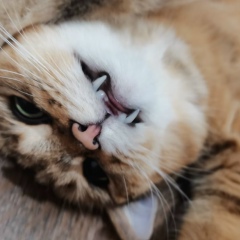 Екатерина Марчковская, 10.06.1985, Москва