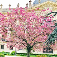 Марина Небесская, 06.08, Oslo