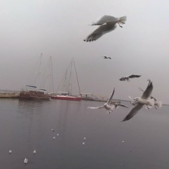 Юлия Комиссарова, 15.09, Одесса