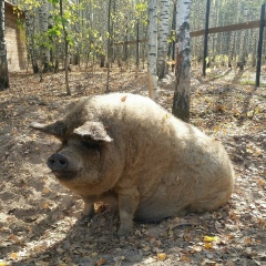 Дункан Маклауд, 07.03.1985, Рязань