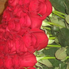 Виктория Лысенко, 25.08, Киев