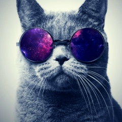 Boris Большаков, Санкт-Петербург