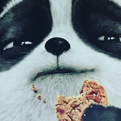 Тима Красавчег, 08.01.1986, Санкт-Петербург