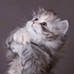 Мария Куликова, 22.02, Москва