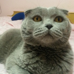 Саша Вернигора, 23.07.1982, Фастов