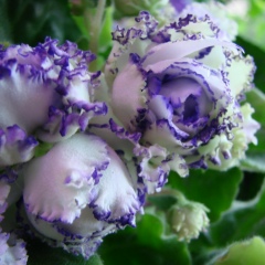 Виктория Логинова, 26.04.1981, Санкт-Петербург