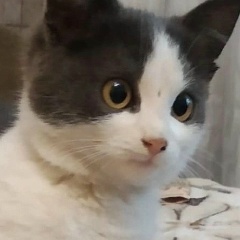 Марк Трайхардов, 21.05, Москва