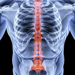 Дмитрий Русак, 17.08.1978, Санкт-Петербург