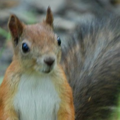 Светлана Грищенко, 30.11
