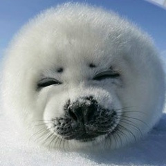 Сергей Петров, 01.10.1986, Санкт-Петербург