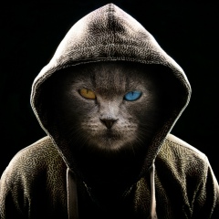 Konstantin Brewer, 07.10, Ставрополь