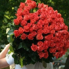 Джоник Рамадонов, 25.12.1989, Пермь